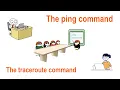 The ping command The traceroute command Options and Usages Explained
