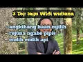 Download Lagu WIDI WIDIANA | 3 TOP lagu | perjalanan dari mengwi - kerobokan