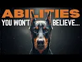 10 Doberman Superpowers You Only See When You Live With One