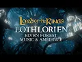 Download Lagu Lord of the Rings | Forests of Lothlorien, Peaceful Music \u0026 Night Ambience