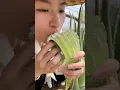 Download Lagu Edible aloe vera plant #plants #healthy #health
