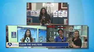 Clear the Shelters News 2 live at Lowcountry shelters