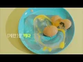 가나다라마바사