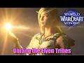 World of Warcraft Midnight Uniting the Elven Tribes Blizzard s Elf Dilemma wow