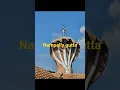 Download Lagu Nampally gutta # near vemulavada # devotional # pls subscribe and share