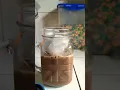 SUMMER DRINK 1 2 ASMR ICED MOCHA