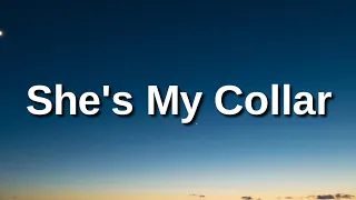 Gorillaz She S My Collar Lyrics Ft Kali Uchis She S The Serpentine She S My Collar Tiktok 