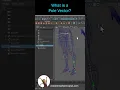 Pole Vector Constraints Explained Maya Rigging Tips