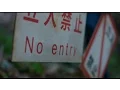 Video di THE FOREST - Official Trailer 2 - In Theaters January 8
