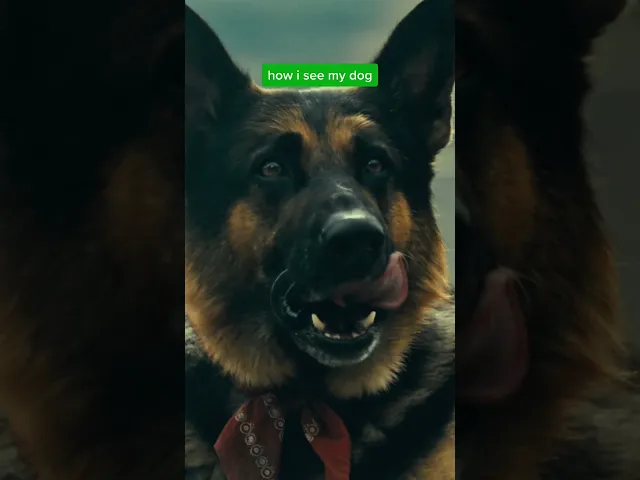 background images
