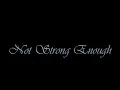 Apocalyptica (feat. Brent Smith) - Not strong enough (lyrics)