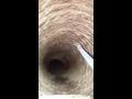 Air duct cleaning is a no brainer