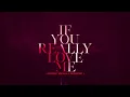 David Guetta x MistaJam x John Newman - If You Really Love Me (How Will I Know) [Lyric Video]