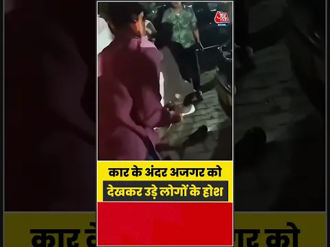 कार के अंदर अजगर को देखकर उड़े लोगों के होश, VIDEO वायरल | #Python #SnakeRescue #ViralVideo