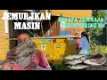 Download Lagu TAK GUNA MATAHARI // BERAPA JAM SAJA SUDAH KERING,,!! JEMUR IKAN MASIN DI ATAS GENSET