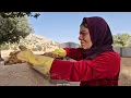 Download Lagu A Nomad Mother's Struggle and a Good Man’s Help to Mother Roya