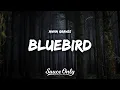 Download Lagu Anna Graves - Bluebird (Lyrics)