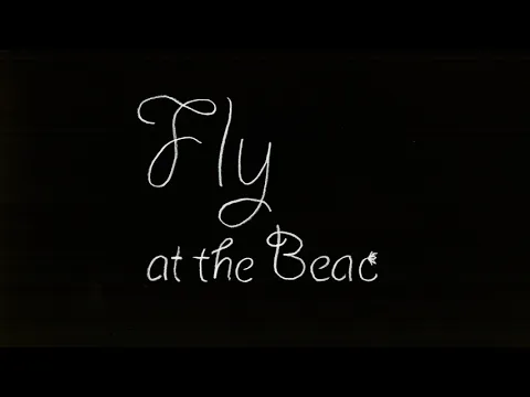 Fly At The Beach
