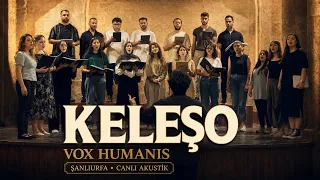 Vox Humanis – Keleşo | Şanlıurfa’da Canlı Akustik 🎶🔥