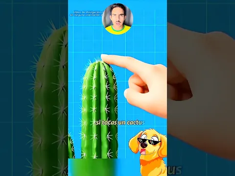 Tocó un cactus, ¿y ahora qué va a hacer? 😳😱