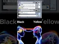 Download Lagu Black and yellow 💀#viralvideo #memes #amongus #funny