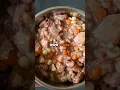 Download Lagu Dry vs wet dog food – which is better?