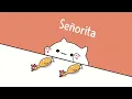 Bongo Cat - Señorita (Mr. Chicken)