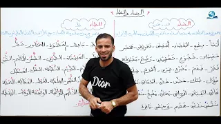 الضاد والظاء للثاني المتوسط  المنهج الجديد  دندنها