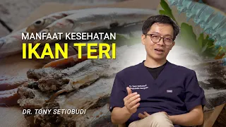  manfaat kesehatan ikan teri dr tony setiobudi
