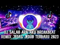 Download Lagu DJ SALAH APA AKU BREAKBEAT REMIX TERBARU 2023