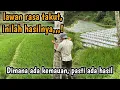 Download Lagu Akhirnya dari Tekad dan semangat yang kuat lawan rasa takut jadi seperti ini..!