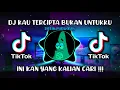 Download Lagu DJ KAU TERCIPTA BUKAN UNTUKKU 🎶 (SLOW \u0026 REVERB)  |🎶 SOUND YANG LAGI VIRAL🤔