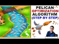 Pelican Optimization Algorithm Step-By-Step with Example xRay Pixy