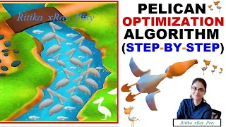 Pelican Optimization Algorithm Step-By-Step with Example xRay Pixy