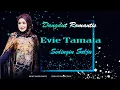 Download Lagu Evi tamala ( sedingin salju )