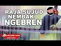 Download Lagu #1🔴Pancingan Anti Boncos Jalak Rio Rio Teler Sujud Nembak❗️