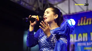 Download TAK BUTUH CINTA ( MINAWATI DEWI ) COVER   MIMIN AMINAH || PURNAMA 38 MP3