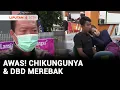 Download Lagu Chikungunya dan DBD Merebak di Subang, 2 Orang Meninggal | Liputan 6