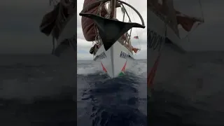 #sailing #ocean #oceansailing