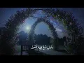 Assala  - Bahi Elhsn | Lyrics Video 2025 | أصالة - بهي الحسن
