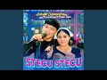 Download Lagu Stecu Stecu