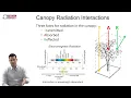 NDVI & PRI Measurement Theory, Methods, and Applications