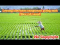 Download Lagu Lewung instrumen campursari paling enak _ Slow cek sound