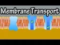 Cell Membrane Transport - Transport Across A Membrane
