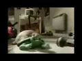 Turtle Sing In Arabic