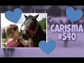 Download Lagu Carisma # 540 ♥ Ponyparkcity - zwarte Shetland pony !!