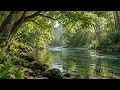 Peaceful Waterside Nature Sounds 🌿 Birds, Frogs & Ocean Waves for Relaxation | 2 Hours