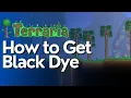 How to Get Black Dye in Terraria