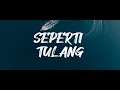 Download Lagu Seperti Tulang - Nadin Amizah | Lirik