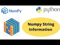 Numpy String Information String Information in Numpy Python Numpy Tutorial